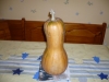 butternut_2011