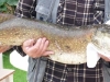 peche2